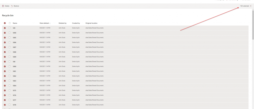 Screenshot of removed items in the recycle bin