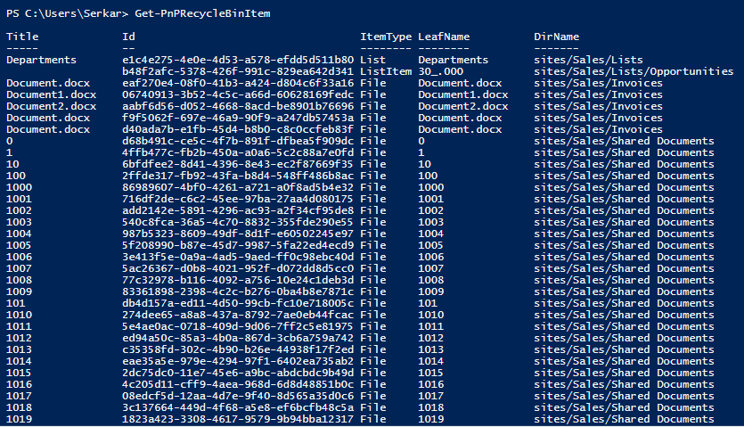 Screenshot of the removed files in PowerShell