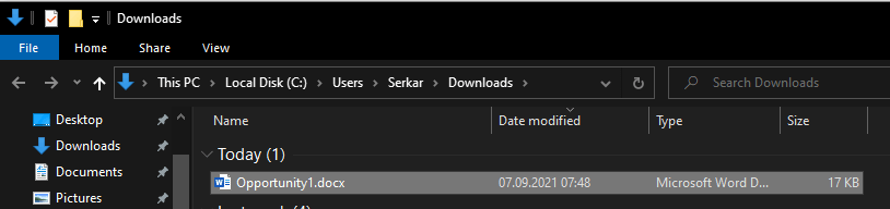 Downloaded SharePoint file