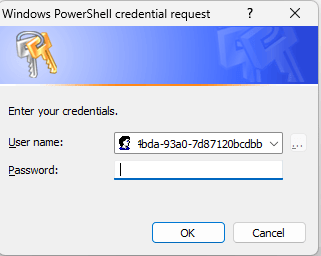 Screenshot of credential prompt